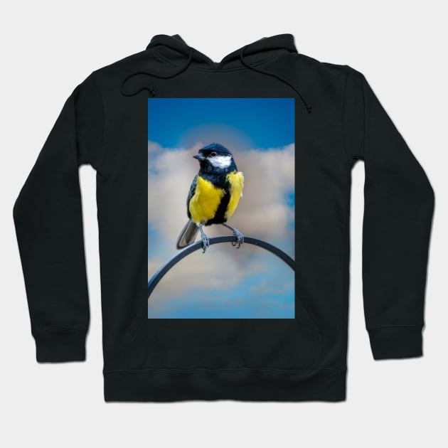 Great Tit Hoodie by Adrian Evans Photography